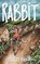 Rabbit, Charles Higgins - Paperback - 9781956611045