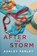 After the Storm, Ashley Farley - Paperback - 9781956684162