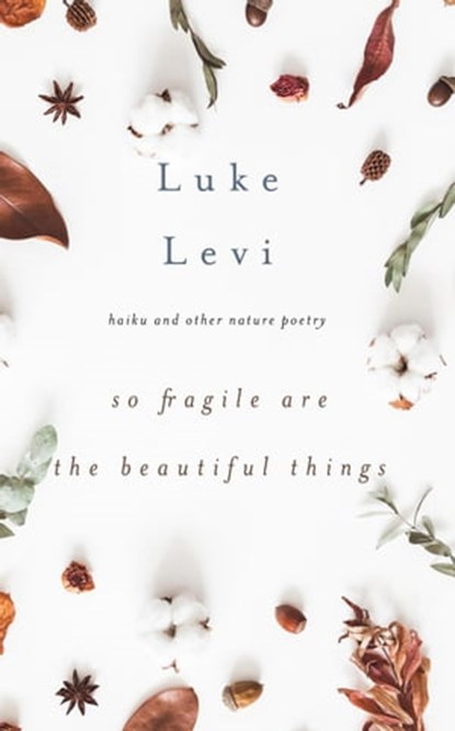 So Fragile Are the Beautiful Things, Luke Levi - Ebook - 9781956716085
