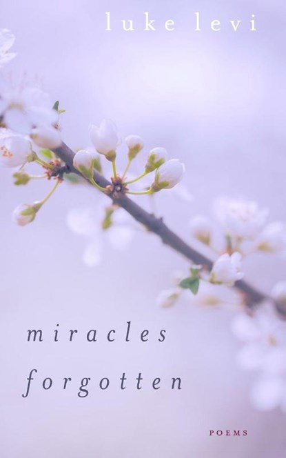 Miracles Forgotten, Luke Levi - Paperback - 9781956716146