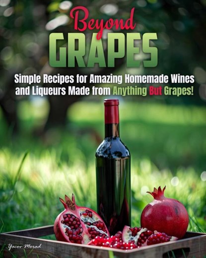 Beyond Grapes, Yacov Morad - Paperback - 9781956769753