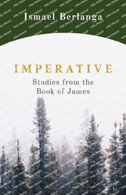 Imperative, BERLANGA,  Ismael - Paperback - 9781956811339