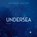 Undersea, Maureen Seaton - Paperback - 9781956907292