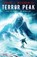 Terror Peak, Edward J McFadden - Paperback - 9781957133027