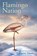 Flamingo Nation, Danny Dover - Paperback - 9781957184579