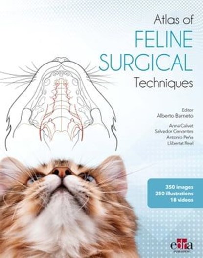 Atlas of FELINE SURGERY Techniques, Alberto Barneto ; Salvador Cervantes Sala ; Anna Calvet Alemany ; Antonio Peña Rodríguez ; Llibertat Real Sampietro - Ebook - 9781957260723