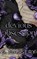 Devious Obsession, S Massery - Paperback - 9781957286150
