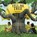 Tell Me Tree, Rita Folse Elliott - Paperback - 9781957402215
