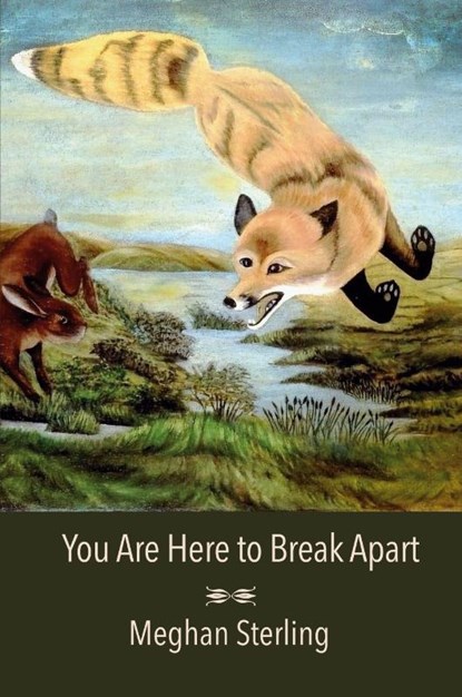 You Are Here to Break Apart, Meghan Sterling - Paperback - 9781957755458