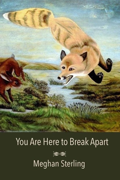 You Are Here to Break Apart, Meghan Sterling - Paperback - 9781957755458