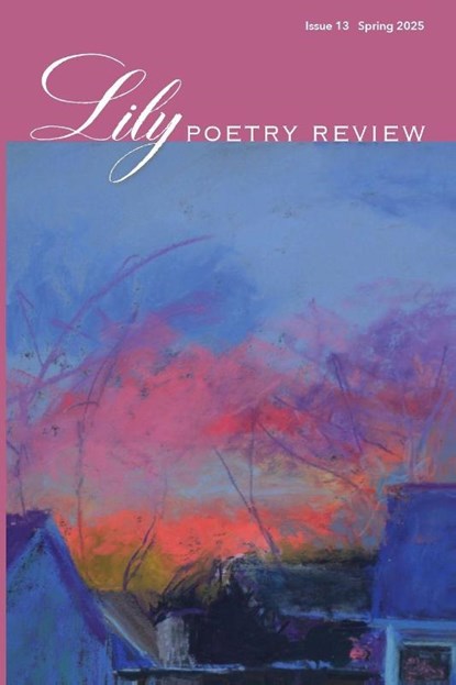 Lily Poetry Review Issue 13, Eileen Cleary - Paperback - 9781957755588