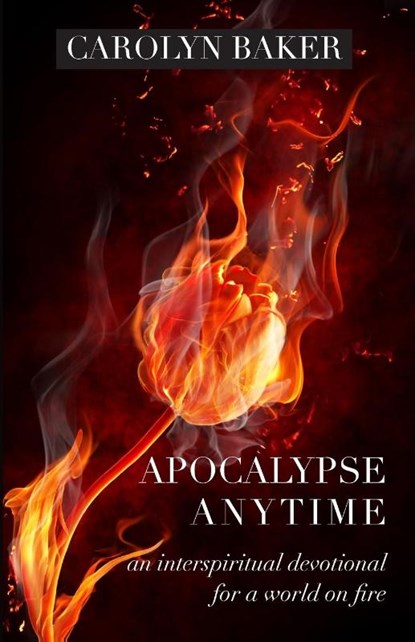 Apocalypse Anytime, Carolyn Baker - Paperback - 9781958061329