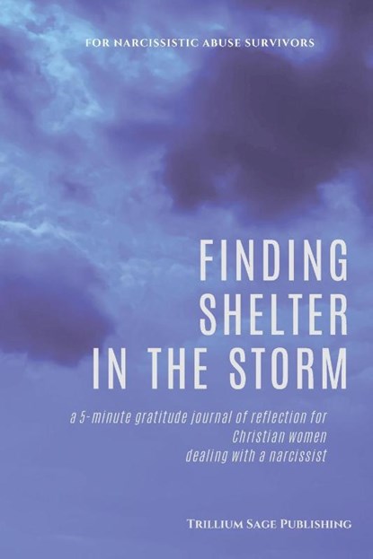 Finding Shelter in the Storm, Trillium Sage Publishing - Paperback - 9781958118061