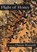 Flight of Honey, Dianne Borsenik - Paperback - 9781958182390