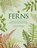 Ferns, Fay-Wei Li ; Jacob S. Suissa - Gebonden - 9781958417850