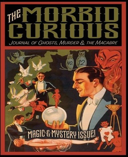 The Morbid Curious No. 12, Troy Taylor - Paperback - 9781958589281