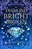 A Diamond Bright and Broken, Holly Davis - Gebonden - 9781958607268