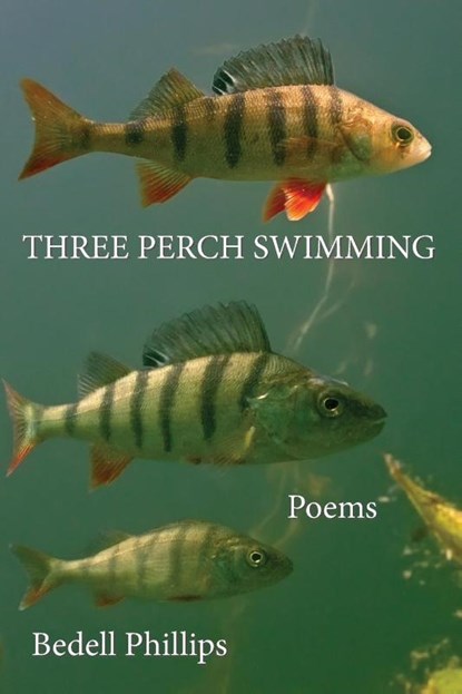 Three Perch Swimming, Bedell Phillips - Paperback - 9781958669037