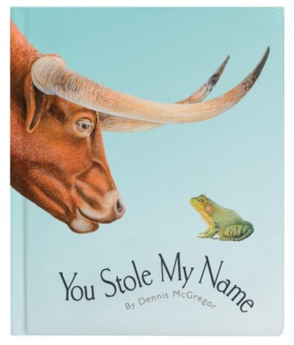 You Stole My Name, Dennis Mcgregor - Gebonden - 9781958803936