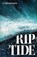 Riptide, Enid Shomer - Paperback - 9781958888780