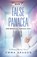 False Panacea, Emma Aragon - Paperback - 9781958890950