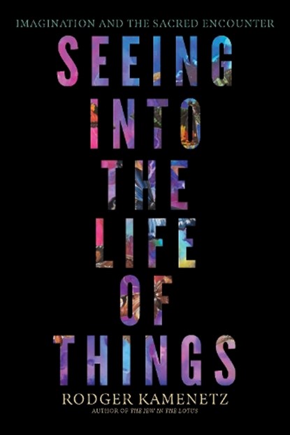 Seeing into the Life of Things, Rodger Kamenetz - Paperback - 9781958972915