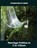 Marriage Petition to U.S. Citizen, Brian D Lerner - Paperback - 9781958990612