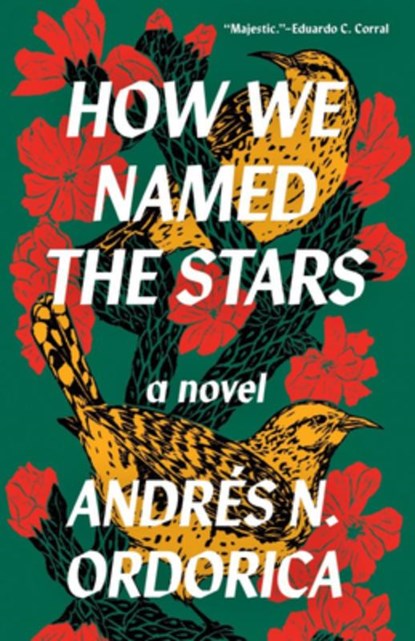 Ordorica, A: How We Named the Stars, Andrés N Ordorica - Paperback - 9781959030331