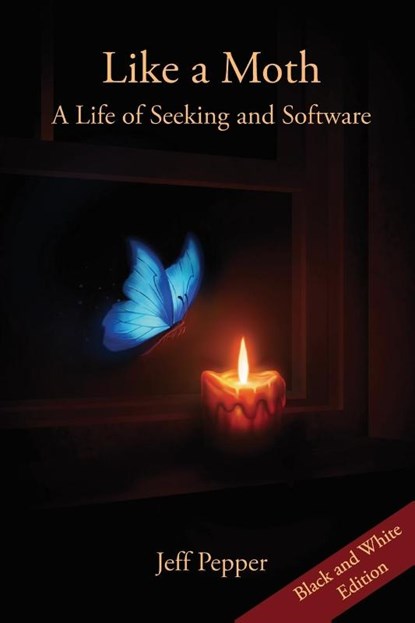 Like a Moth, Jeff Pepper - Paperback - 9781959043355