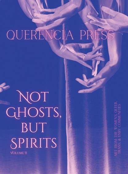 Not Ghosts, But Spirits II, PERKOVICH,  Emily - Gebonden - 9781959118299
