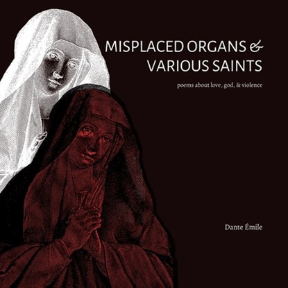 Émile, D: Misplaced Organs & Various Saints, Dante Émile - Paperback - 9781959118718