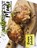 Magnificent Meals 2025 Calendar, B. Patrick - Paperback - 9781959209300