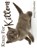 Krazy For Kittens 2025 Calendar, B. Patrick - Paperback - 9781959209324
