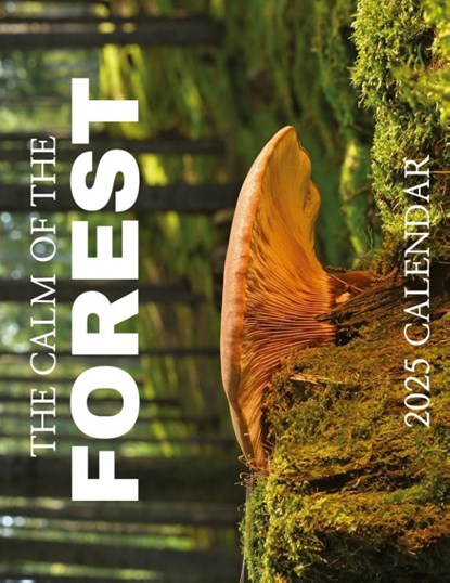 The Calm of the Forest 2025 Calendar, B. Patrick - Paperback - 9781959209348