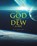 What God Said To Dew in 2002, D. E. Williams - Paperback - 9781959314950
