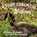 A Visit Through the Wetlands, Sherry Roberts - Paperback - 9781959548935