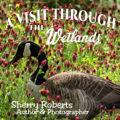 A Visit Through the Wetlands, Sherry Roberts - Paperback - 9781959548935