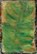 The Eden Revelation: An Evolutionary Novel, David Rosenberg - Gebonden - 9781959556152