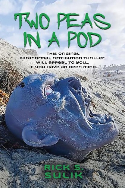 Two Peas in a Pod, Rick S Sulik - Paperback - 9781959622727