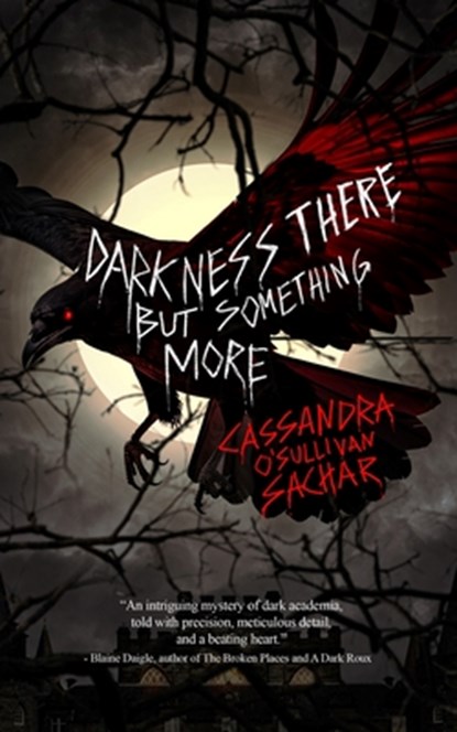 Darkness There But Something More, Cassandra Sachar - Paperback - 9781959798323