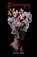 Entropy, Ravven White - Paperback - 9781959860600