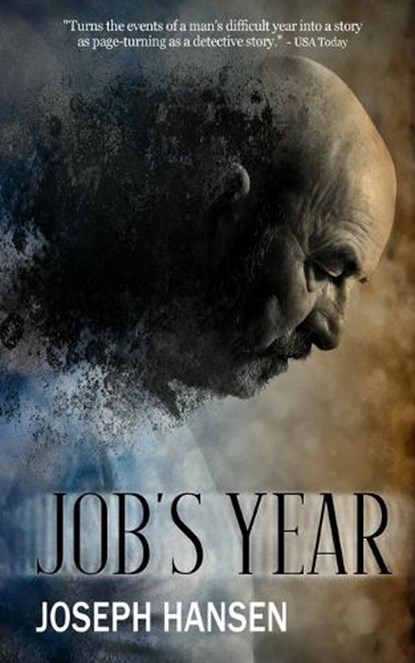 Job's Year, Joseph Hansen - Paperback - 9781959902355