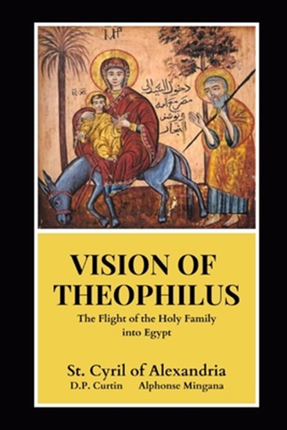 Vision of Theophilus, CURTIN,  D. P. - Paperback - 9781960069450