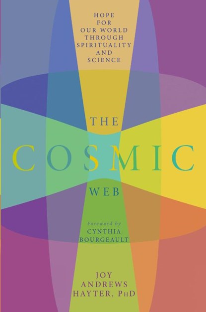 The Cosmic Web, Joy Andrews Hayter - Paperback - 9781960090201