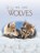 We Are Wolves, Molly Grooms - Gebonden - 9781960107398