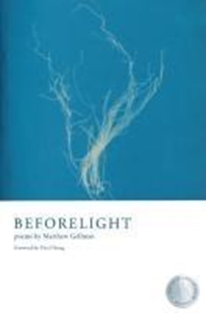 Beforelight, Matthew Gellman - Paperback - 9781960145109
