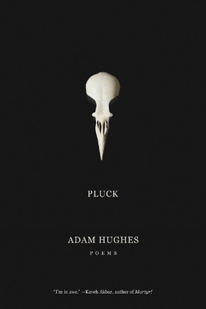 Pluck, Adam Hughes - Paperback - 9781960145741