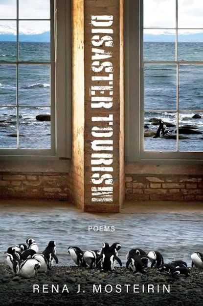 Disaster Tourism, Rena J. Mosteirin - Paperback - 9781960145772