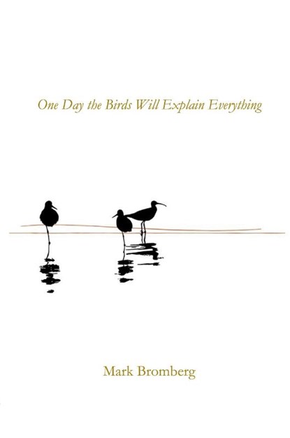 One Day the Birds Will Explain Everything, Mark Bromberg - Paperback - 9781960326980