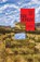 The Event, Juan José Saer - Paperback - 9781960385437